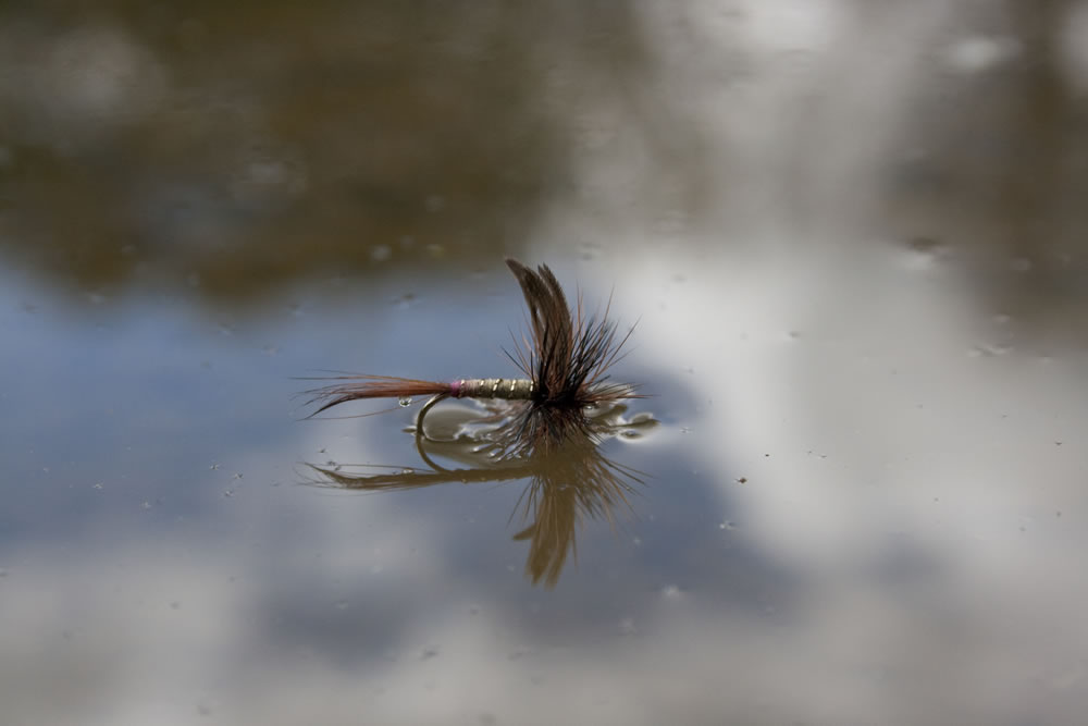5 Dry Fly Fishing Tips - Peaks Fly Fishing